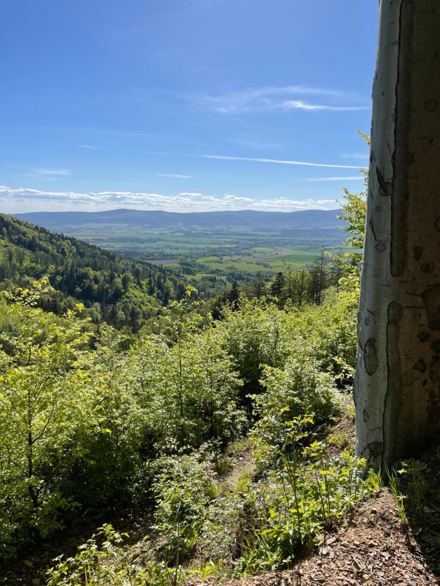 Swierkowy Zakatek Idzikow Экстерьер фото